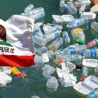 Greenwash California